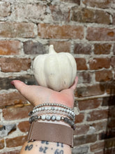 Load image into Gallery viewer, Paper Mache Pumpkins