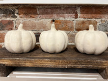 Load image into Gallery viewer, Paper Mache Pumpkins