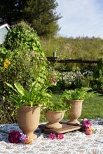 Load image into Gallery viewer, Large Cement Urn