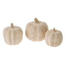 Load image into Gallery viewer, Paper Mache Pumpkins