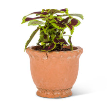 Load image into Gallery viewer, Planters- Ruffled Cement