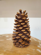 Load image into Gallery viewer, Pinecone
