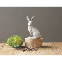 Load image into Gallery viewer, Cement Rabbit
