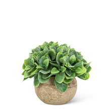 Load image into Gallery viewer, Faux Plant
