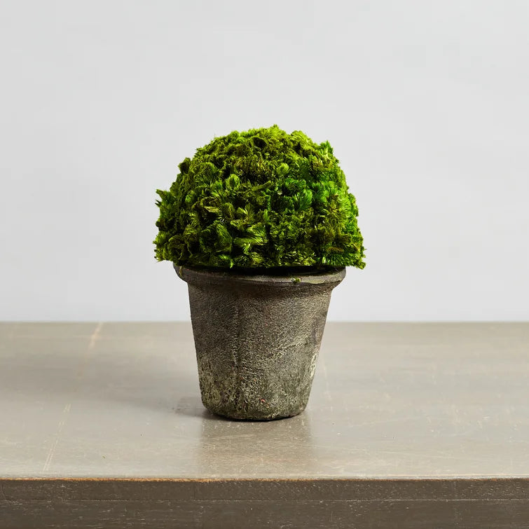 Faux Persevered Moss Pot