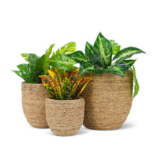 Load image into Gallery viewer, Planters -Seagrass
