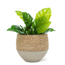 Load image into Gallery viewer, Planters - Half Seagrass
