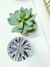 Load image into Gallery viewer, Faux Succulent Pick
