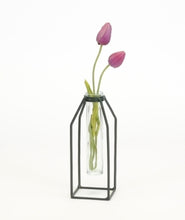 Load image into Gallery viewer, Black Iron Stand with Tube Glass
