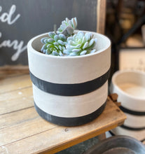 Load image into Gallery viewer, Two-tone concrete planter
