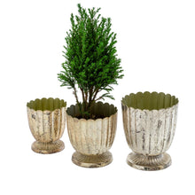 Load image into Gallery viewer, Planters- Mini Urns
