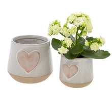 Load image into Gallery viewer, Planter Love- Classic Pink
